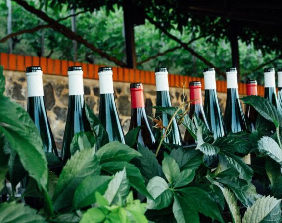 From Region to Quality Tier: Learn to Read Wine Labels and Flavor Differences at a Glance